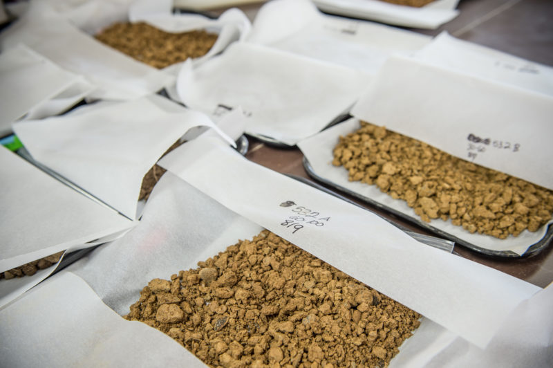 soil samples dry in the lab at Rodale Institute